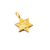 Medalla Estrella de David - Plaqué Oro 21k - 24mm