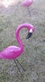 Forma de Fibra para fazer Garça Flamingo Tam 2 na internet