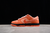 Concepts x Nk Dunk Low Pro SB "Orange Lobster"