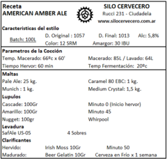 American Amber Ale - Silo Cervecero | Insumos Cerveceros | Cerveza Artesanal