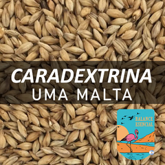 Malta CaraDextrina (Carapils) UMA Malta