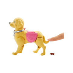 Barbie Paseo de Perros Mattel en internet