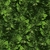 Imagem do Papel de Parede Adesivo Jardim Folhas 3d Verde Escuro 3M