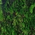 Papel de Parede Painel 3D Folhas Flores Verde Vinil