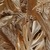 Papel de Parede Painel 3D Folhas Floresta Dourada