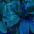 Papel de Parede Painel 3D Folhas Dolar Azul Vinil