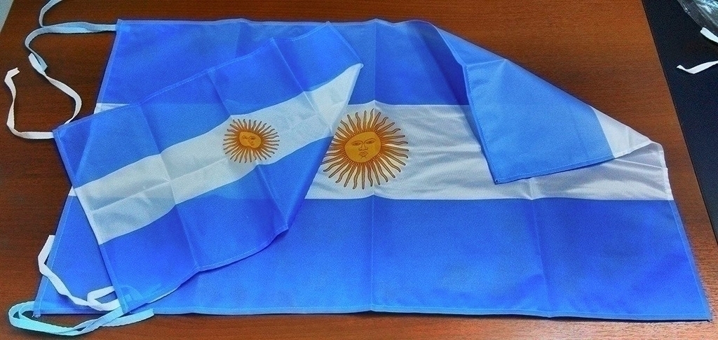 Bandera Argentina c/sol - Comprar en Libreria Lerma