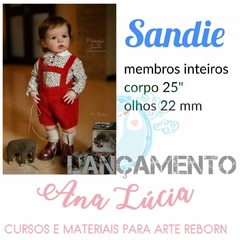 Boneca Bebê Reborn Sandie Realista - Pronto Envio