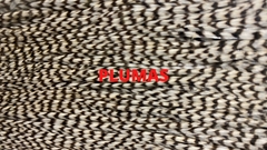 Banner de la categoría Plumas