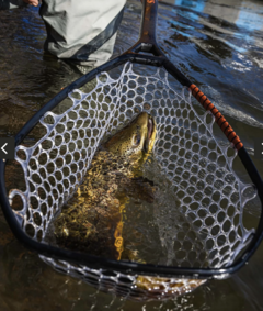 Daymaker Landing Net - comprar online