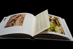 Libro Wild Trout - comprar online