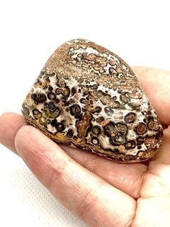 Leopardita - Jaspe - Pedra do Jaguar na internet