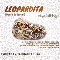 Leopardita - Jaspe - Pedra do Jaguar - loja online