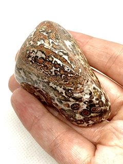 Leopardita - Jaspe - Pedra do Jaguar - CristalMagia