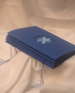 Bluerry fanzine - Maria Centeno - comprar online