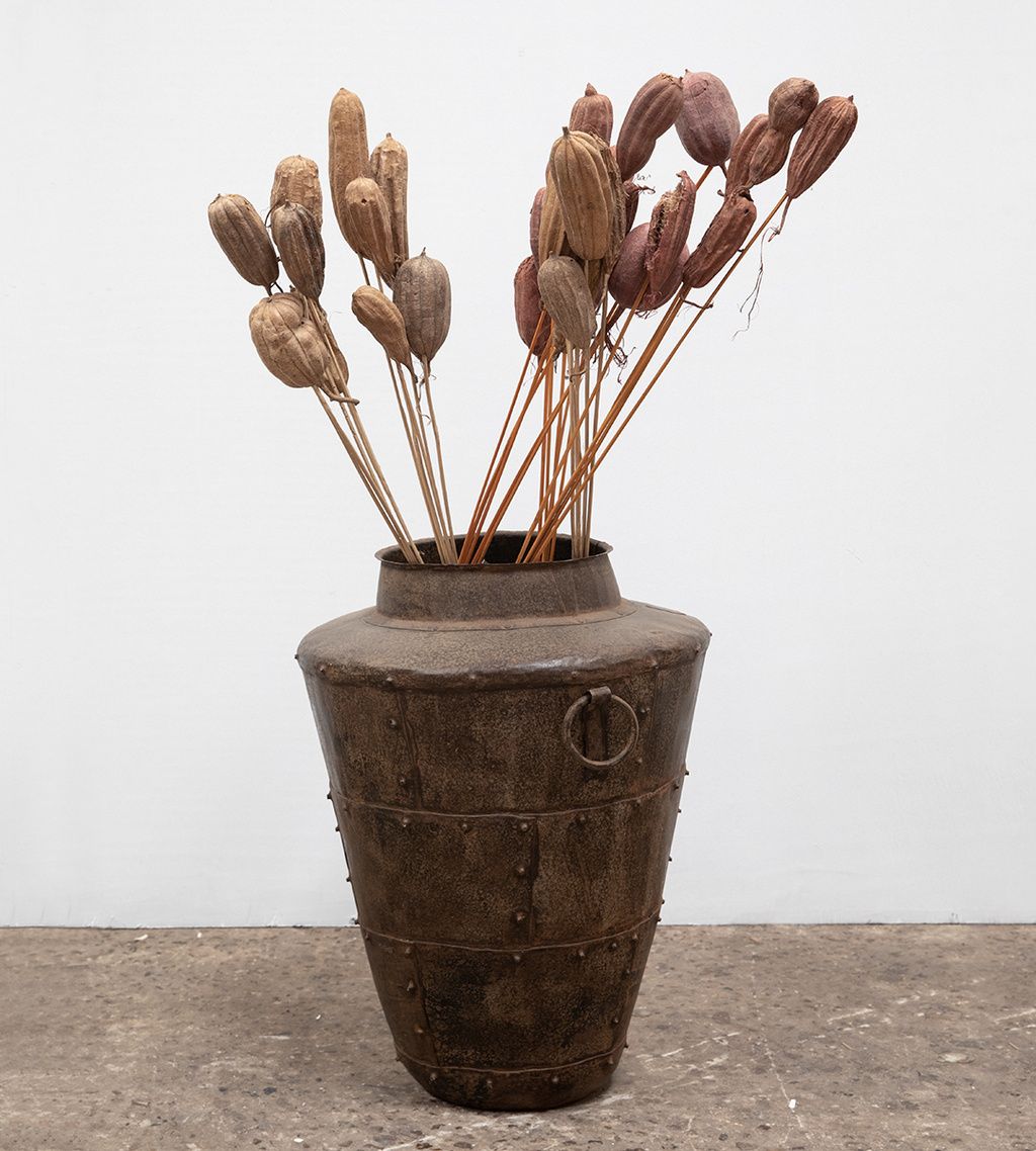 /FLOR MOND CAPSULE 70CM