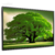 Quadro Decorativo - Árvore da vida Creapixel Art (5 Cores disponíveis) cod0079 - loja online