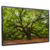 Quadro Decorativo - Árvore da vida cod0056