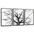 Quadros Decorativos - Conj. Árvore seca da renovação P/B cod0099