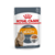 Royal Canin Gato Intense Beauty Pouch Feline Wet