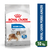 ROYAL CANIN MAXI WEIGHT CARE 10 KG.