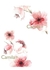 LAMINA SUBLIMACION 35x25 BLOSSOM L1003 CAMILA