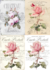 La Tiendita Shabby Chic - Lamina De Seda 50x70 - VSNB3