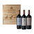 Estuche Salentein Single Vineyard Malbec x3