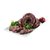 Morcilla vasca x Kg * - comprar online