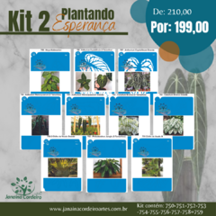 Kit 2 Plantando Esperança (10 stencils) - buy online