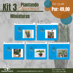 Kit 3 Plantando Esperança (5 Miniaturas)