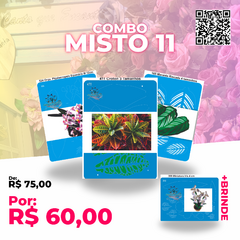 Combo Misto 11 + BRINDE