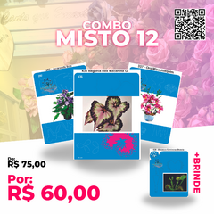 Combo Misto 12 + BRINDE