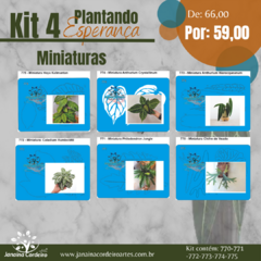 Kit 4 Plantando Esperança (5 Miniaturas) - buy online
