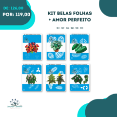 Kit Stencil Belas folhas +Amor Perfeito - comprar online