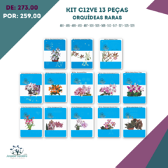 Kit C12VE 13 Peças - Orquídeas Raras - buy online