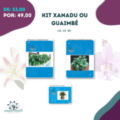 Kit Xanadu ou Guaimbê - comprar online