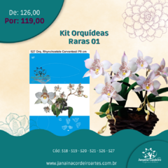 Kit Orquídeas Raras 01 - comprar online
