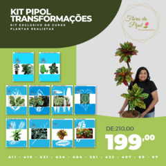 Kit Pipol Transformações - Exclusivo do Curso Plantas Realistas - comprar online