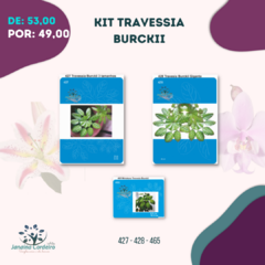 Kit Travessia Burckii - comprar online