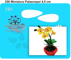 250 - Miniatura Orquídea Phalaenopsis (4cm)