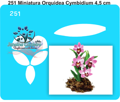 251 - Miniatura Orquídea Cymbindium