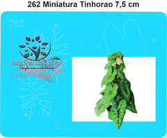 262 - Miniatura Tinhorão