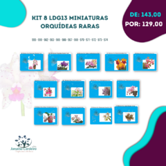 Kit 8 LDG13 Miniaturas - Orquídeas Raras