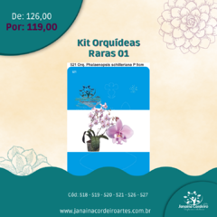 Kit Orquídeas Raras 01 on internet