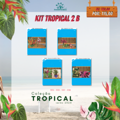 Imagem do Kit Tropical 2