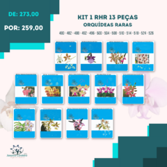 Kit 1 RHR 13 Peças - Orquídeas Raras