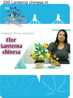 350 - Lanterna Chinesa M