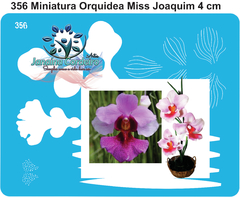 356 - Miniatura Orquídea Miss Joaquim 4cm