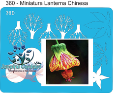 360 - Miniatura Lanterna Chinesa